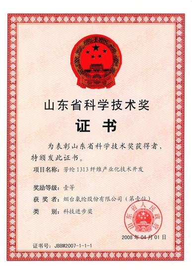 2008年，“芳纶1313纤维产业化技术开发”项目获山东省科学技术一等奖。
