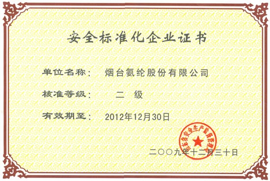 2009年，通过山东省安监局安全尺度化二级审核。