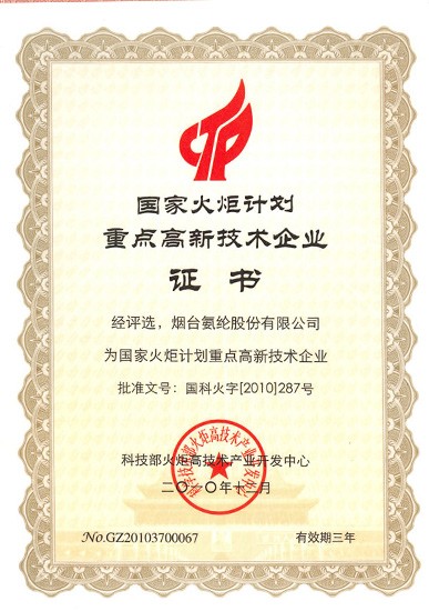 2010年，被评为“国度火炬打算沉点高新技术企业”。